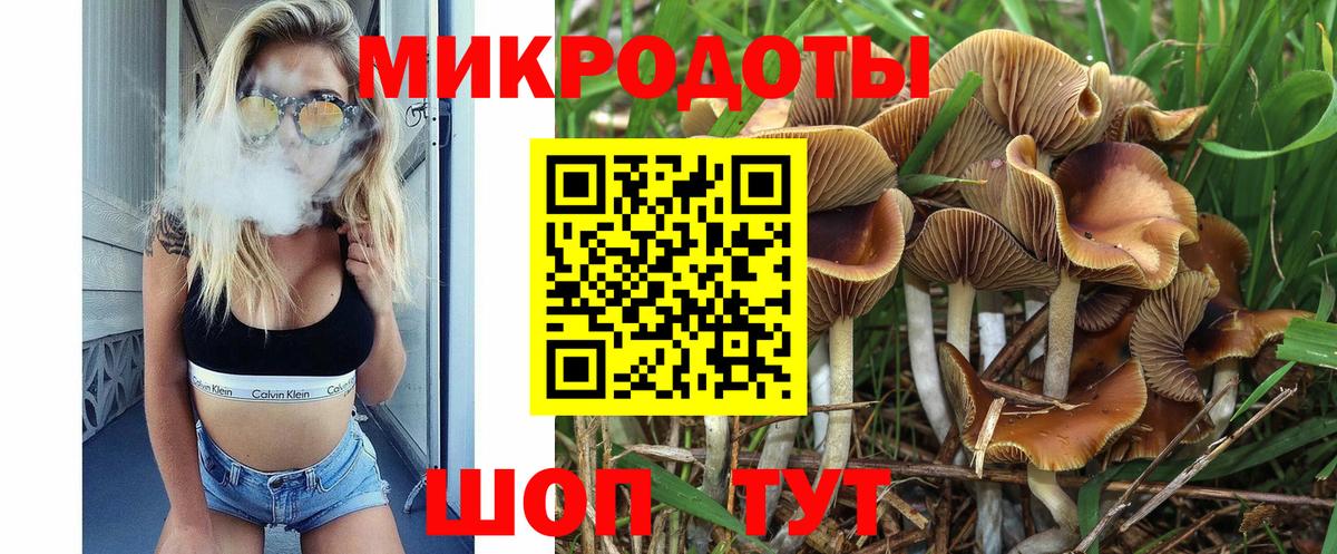 Псилоцибиновые грибы Psilocybine cubensis Химки