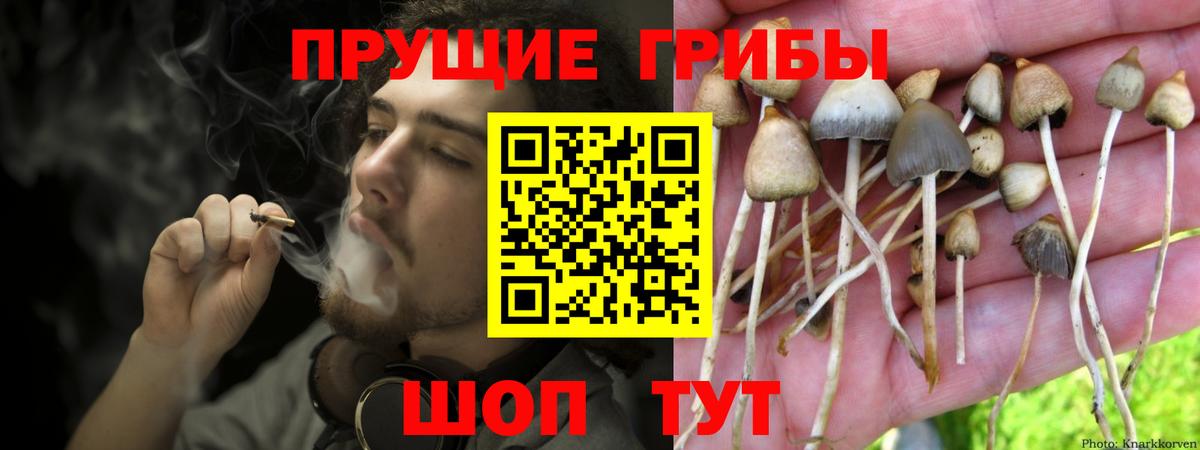 Химки  Галлюциногенные грибы мухоморы  наркота  Псилоцибиновые грибы мухоморы  Вход с VPN 